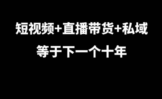 短视频+直播带货+私域等于下一个十年，大佬7年实战经验总结-随风资源网