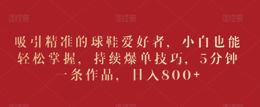 吸引精准的球鞋爱好者，小白也能轻松掌握，持续爆单技巧，5分钟一条作品，日入800+【揭秘】-随风资源网