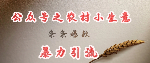 deepseek写农村小项目，条条爆款，暴力引流-随风资源网