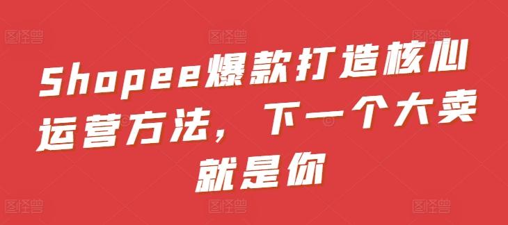Shopee爆款打造核心运营方法，下一个大卖就是你-随风资源网
