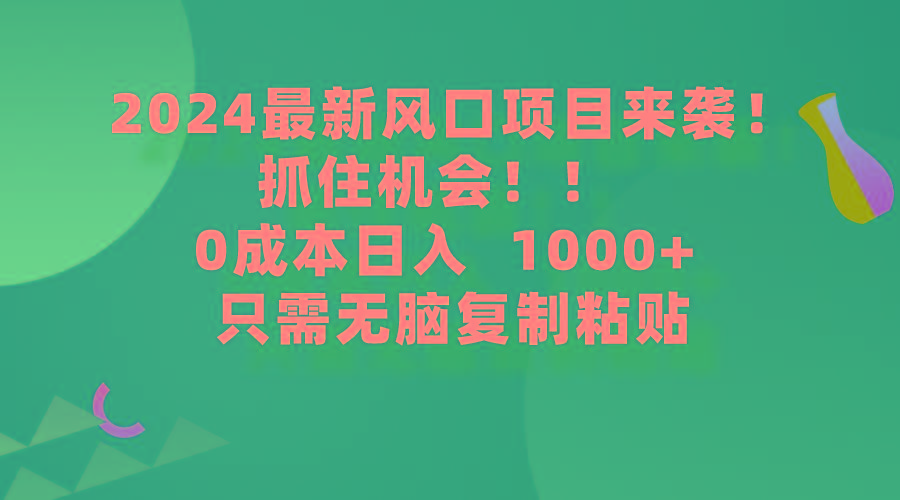 (9899期)2024最新风口项目来袭，抓住机会，0成本一部手机日入1000+，只需无脑复…-随风资源网