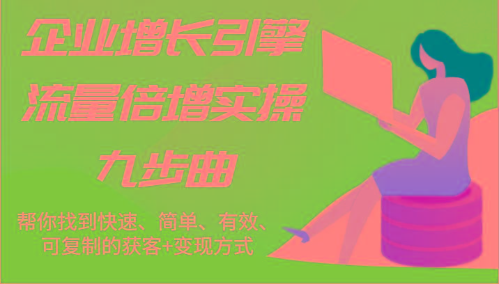 企业增长引擎流量倍增实操九步曲，帮你找到快速、简单、有效、可复制的获客+变现方式-随风资源网