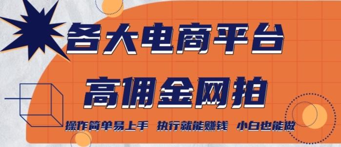 各大电商平台高佣金网拍，操作简单易上手，执行就能赚钱，小白也能做-随风资源网