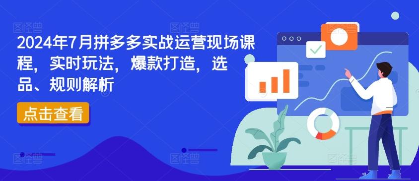 2024年7月拼多多实战运营现场课程，实时玩法，爆款打造，选品、规则解析-随风资源网