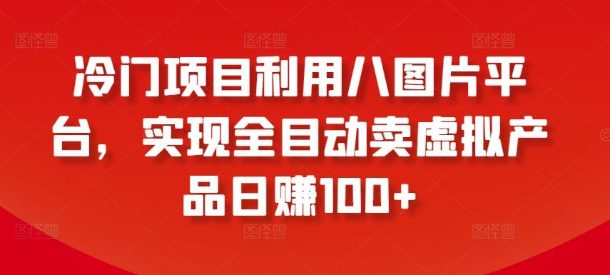 冷门项目利用八图片平台，实现全目动卖虚拟产品日赚100+【揭秘】-随风资源网