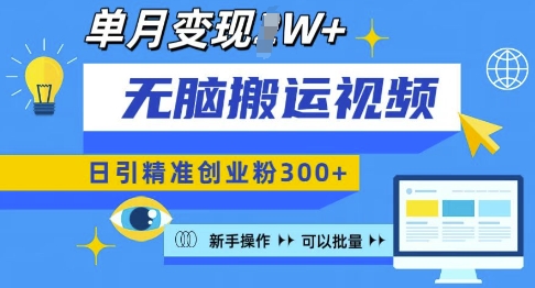 无脑搬运视频号可批量复制，新手即可操作，日引精准创业粉300+，月变现过W 【揭秘】-随风资源网