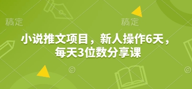 小说推文项目，新人操作6天，每天3位数分享课-随风资源网