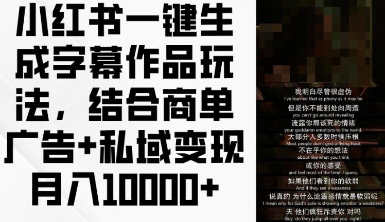小红书一键生成字幕作品玩法，结合商单广告+私域变现月入1w+【揭秘】-随风资源网