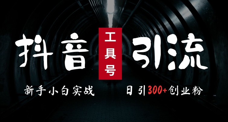 2024最新抖音工具号引流玩法，高效日引300+创业粉，当天变现5k，小白也可成为实战高手-随风资源网