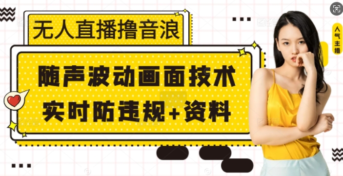 无人直播撸音浪+随声波动画面技术+实时防违规+资料【揭秘】-随风资源网
