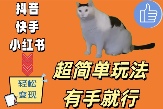 超简单玩法，有手就行，靠猫咪视频日入500+【揭秘】-随风资源网