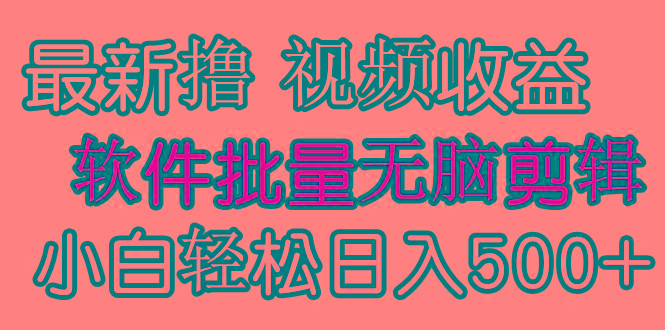 (9569期)发视频撸收益，软件无脑批量剪辑，第一天发第二天就有钱-随风资源网