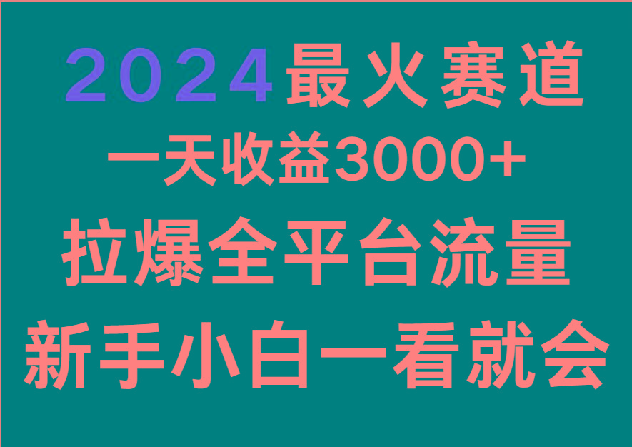 2024最火赛道，一天收一3000+.拉爆全平台流量，新手小白一看就会-随风资源网