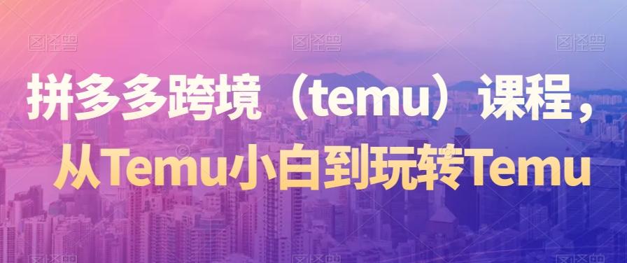 拼多多跨境（temu）课程，从Temu小白到玩转Temu-随风资源网
