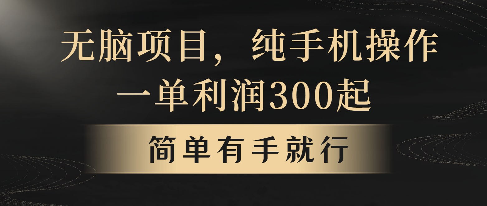 全网首发，翻身项目，年前最赚钱项目之一。收益翻倍！-随风资源网