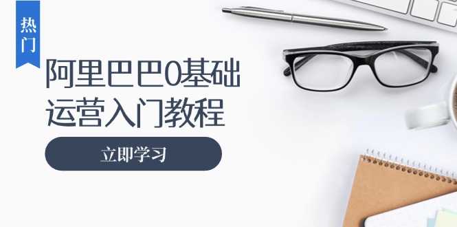 阿里巴巴运营零基础入门教程：涵盖开店、运营、推广，快速成为电商高手-随风资源网
