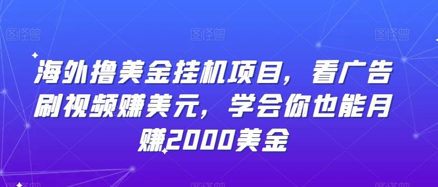 海外撸美金挂机项目，看广告刷视频赚美元，学会你也能月赚2000美金-随风资源网