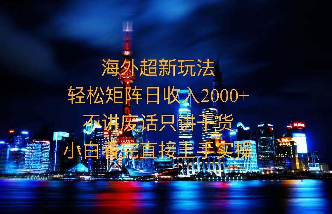 2025全新海外暴力玩法，操作简单，小白轻松上手-随风资源网