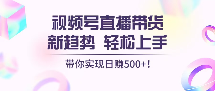 视频号直播带货新趋势，轻松上手，带你实现日赚500+-随风资源网
