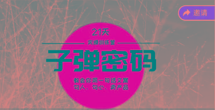 《子弹密码训练营》-用一句话文案勾人勾心卖产品，21天学到顶尖文案大师策略和技巧-随风资源网
