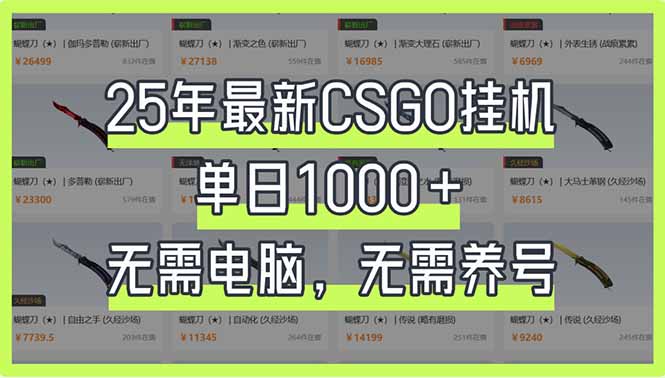 25年最新CSGO挂机系统，单日1000+，无需电脑，无需养号，0基础可上手-随风资源网