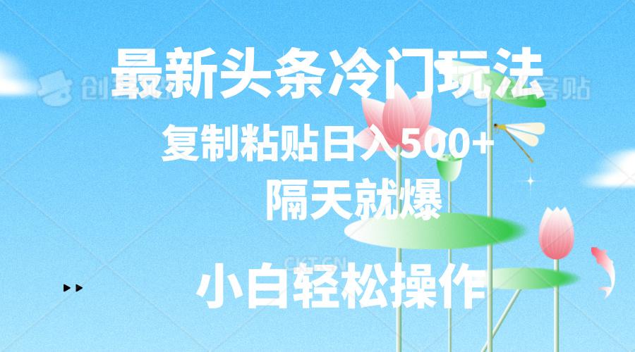 最新头条冷门玩法，隔天就爆，复制粘贴日入500+-随风资源网