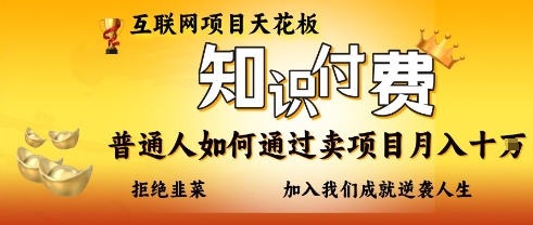 互联网项目天花板，知付付费项目，普通人如何通过卖项目月入十个，拒绝韭菜【揭秘】-随风资源网