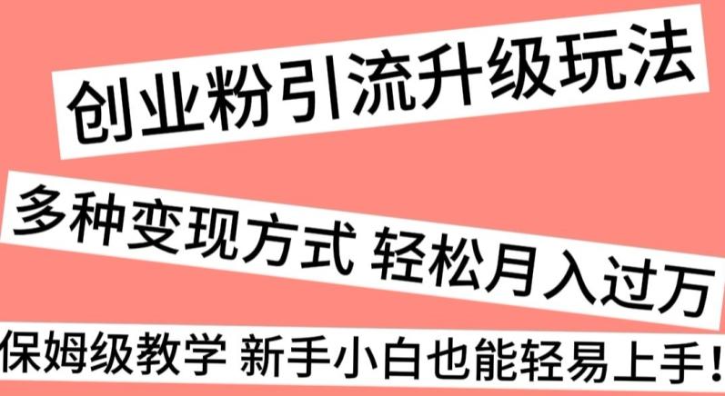 创业粉引流升级玩法，多种变现方式轻松月入过万，保姆级教学新手小白也能轻易上手！-随风资源网