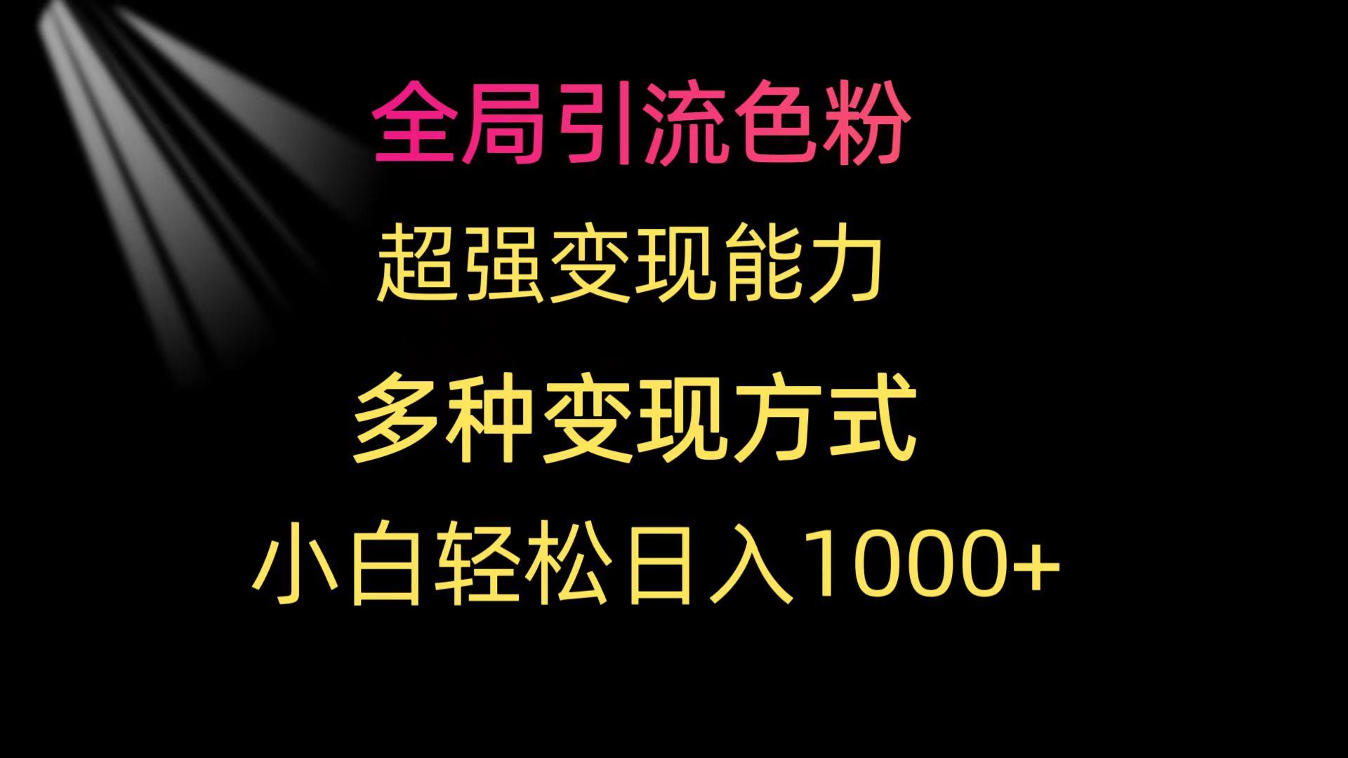 (9680期)全局引流色粉 超强变现能力 多种变现方式 小白轻松日入1000+-随风资源网