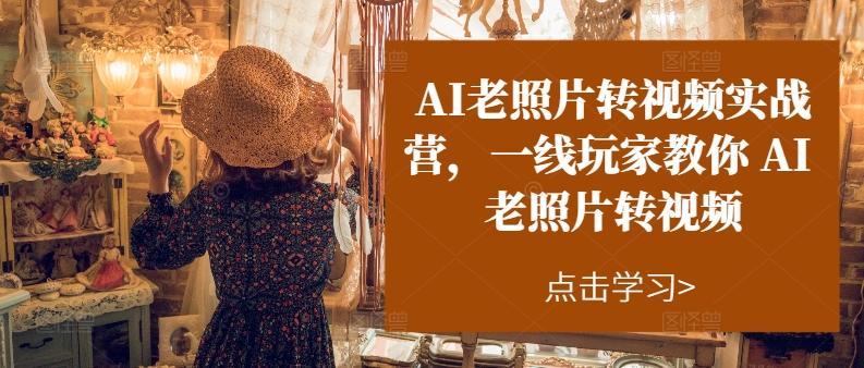 AI老照片转视频实战营，一线玩家教你AI老照片转视频-随风资源网