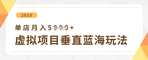 虚拟项目垂直玩法，实现单店月入5k+-随风资源网