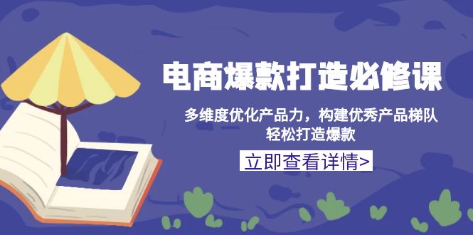 电商爆款打造必修课：多维度优化产品力，构建优秀产品梯队，轻松打造爆款-随风资源网