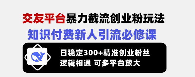 交友平台暴力截流创业粉玩法，知识付费新人引流必修课，日稳定300+精准创业粉丝，逻辑相通可多平台放大-随风资源网