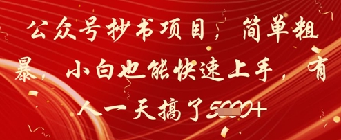 公众号抄书项目，简单粗暴，小白也能快速上手，有人一天搞了1k+-随风资源网