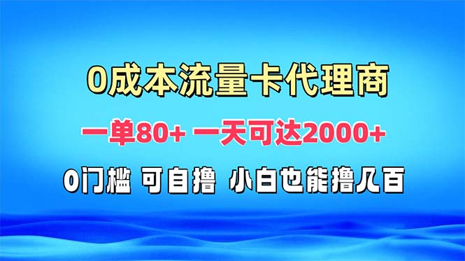 免费流量卡代理一单80+ 一天可达2000+-随风资源网