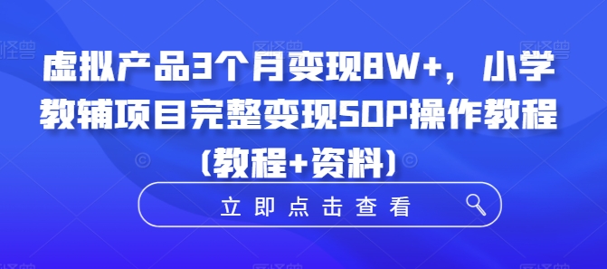 虚拟产品3个月变现8W+，小学教辅项目完整变现SOP操作教程(教程+资料)-随风资源网