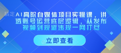 AI高阶自媒体项目实操课，讲透账号运营底层逻辑，从发布视频到规避违规一网打尽-随风资源网