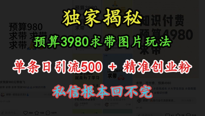 预算3980求带 图片玩法，单条日引流500+精准创业粉，私信根本回不完-随风资源网