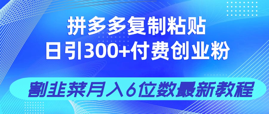 拼多多复制粘贴日引300+付费创业粉，割韭菜月入6位数最新教程！-随风资源网
