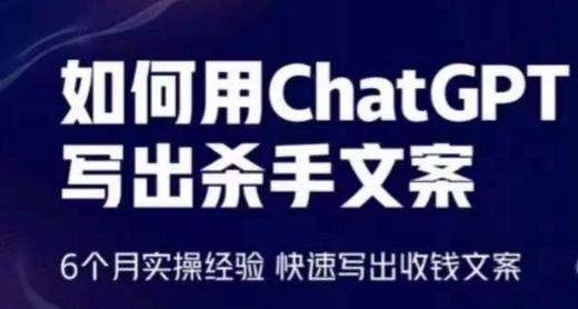 如何用ChatGPT写出杀手文案，6个月实操经验，快速写出收钱文案-随风资源网