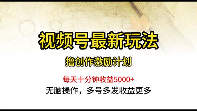 视频号最新玩法，每日一小时月入5000+-随风资源网
