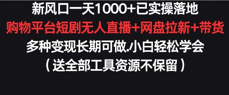新风口一天1000+已实操落地购物平台短剧无人直播+网盘拉新+带货多种变现长期可做【揭秘】-随风资源网