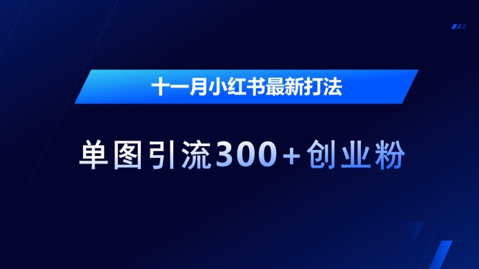 十一月小红书最新打法，单图引流300+创业粉【揭秘】-随风资源网