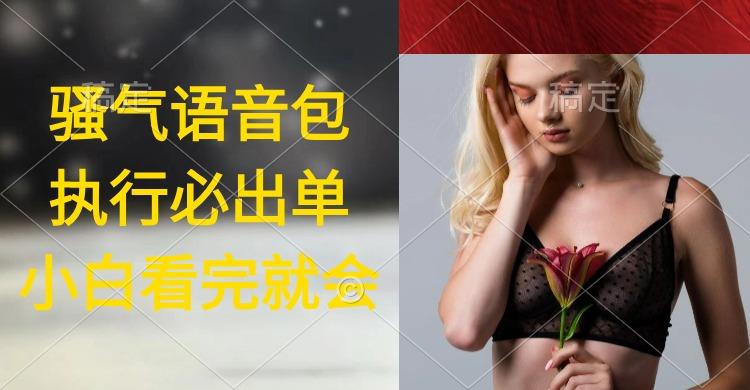 (9589期)执行就出单，日入2000+，超火骚气语音包，小白看完课程就能马上实操-随风资源网