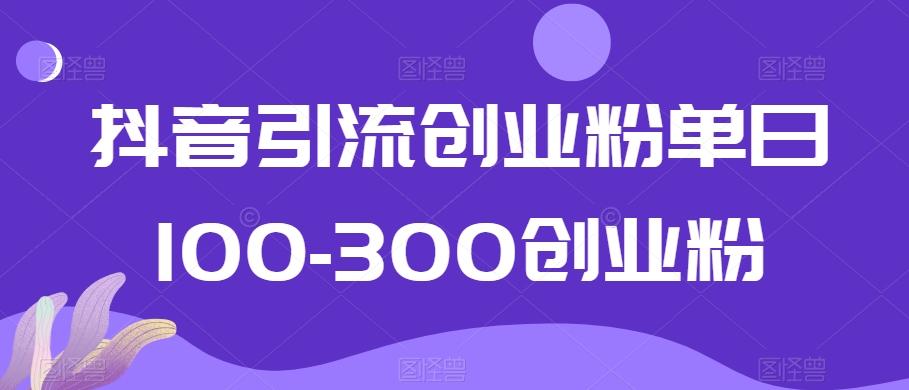 抖音引流创业粉单日100-300创业粉【揭秘】-随风资源网