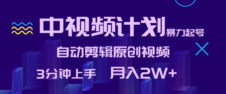 中视频计划暴力起号，自动剪辑原创视频，3分钟上手，月入2W+【揭秘】-随风资源网