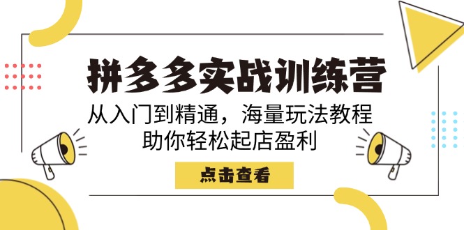 拼多多实战训练营，从入门到精通，海量玩法教程，助你轻松起店盈利-随风资源网