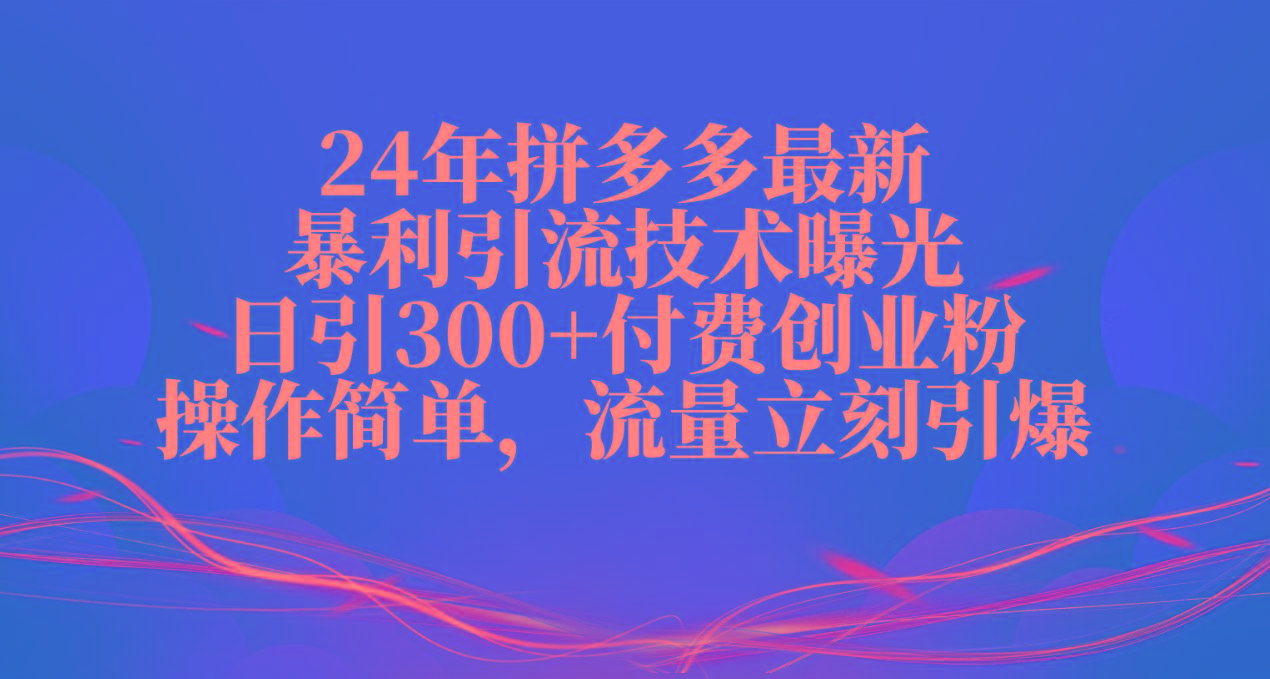 24年拼多多最新暴利引流技术曝光，日引300+付费创业粉，操作简单，流量…-随风资源网