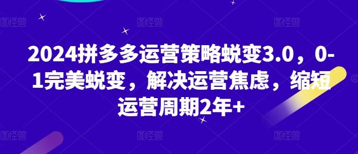 2024拼多多运营策略蜕变3.0，0-1完美蜕变，解决运营焦虑，缩短运营周期2年+-随风资源网