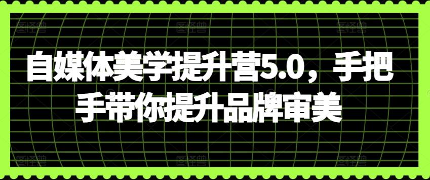 自媒体美学提升营5.0，手把手带你提升品牌审美-随风资源网